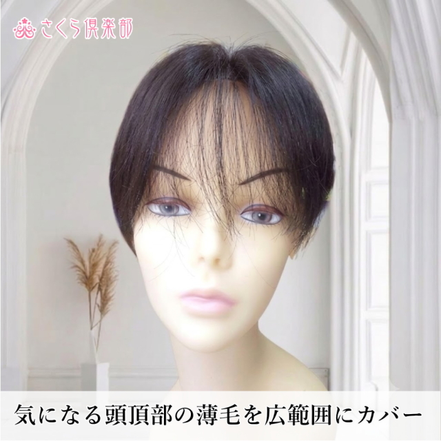 人毛部分ウィッグ 女性用ヘアピース センター分けLサイズ top-600a