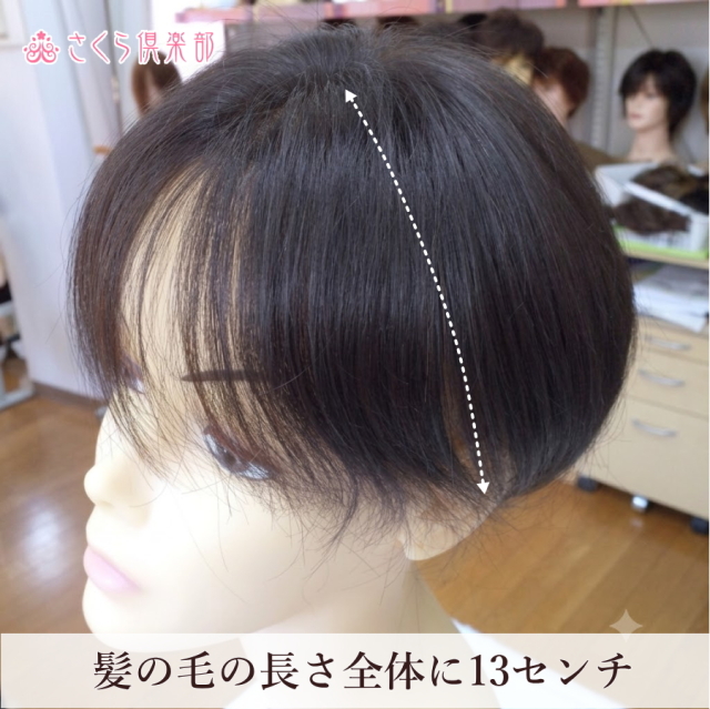 人毛部分ウィッグ 女性用ヘアピース センター分けLサイズ top-600a