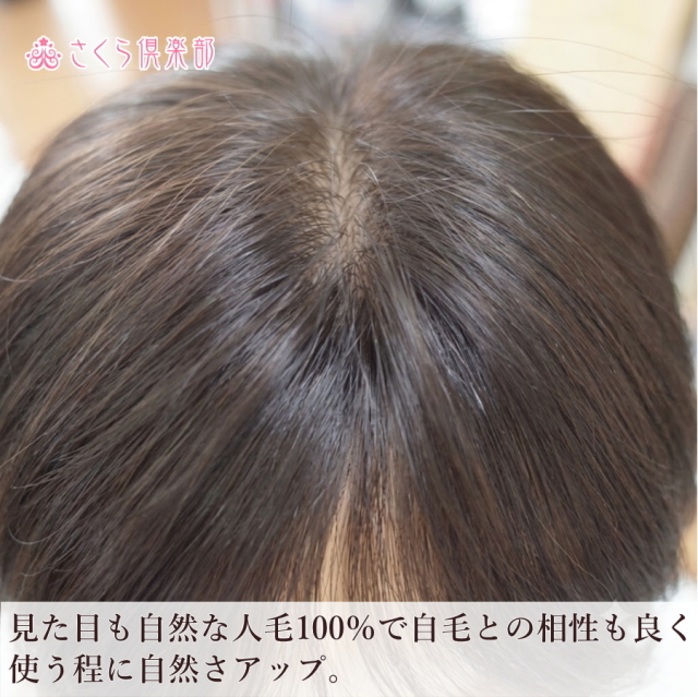 人毛部分ウィッグ 女性用ヘアピース センター分けLサイズ top-600a