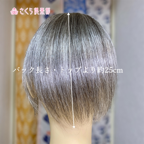 部分ウィッグ かつら ミセス・シニア向け ロング白髪60% Mサイズ top
