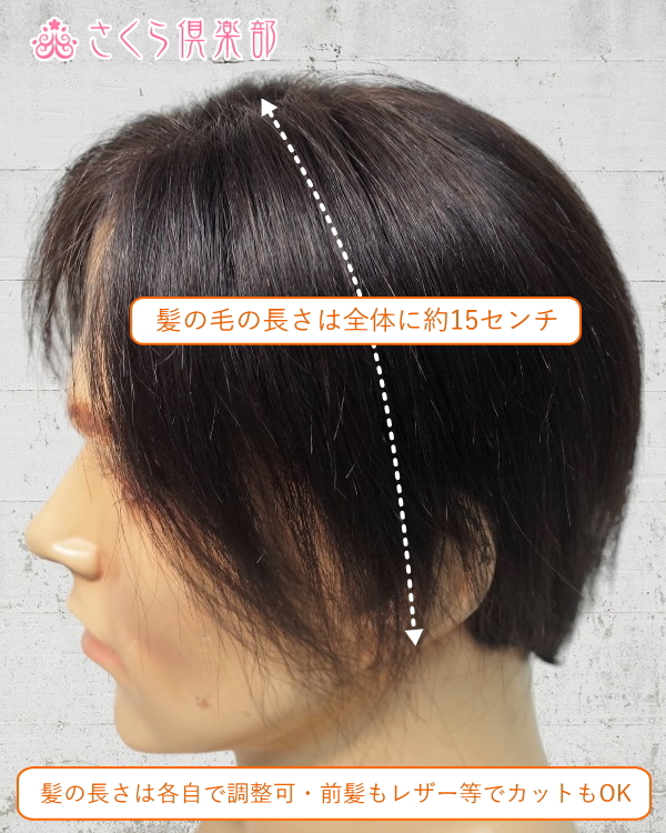 男性用メンズ部分ウィッグ人毛 左分けストレート Mサイズ top-dx2an 