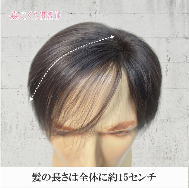 人毛100% 男性用部分ウィッグ Mサイズ（top-dx2an）｜左分けストレート