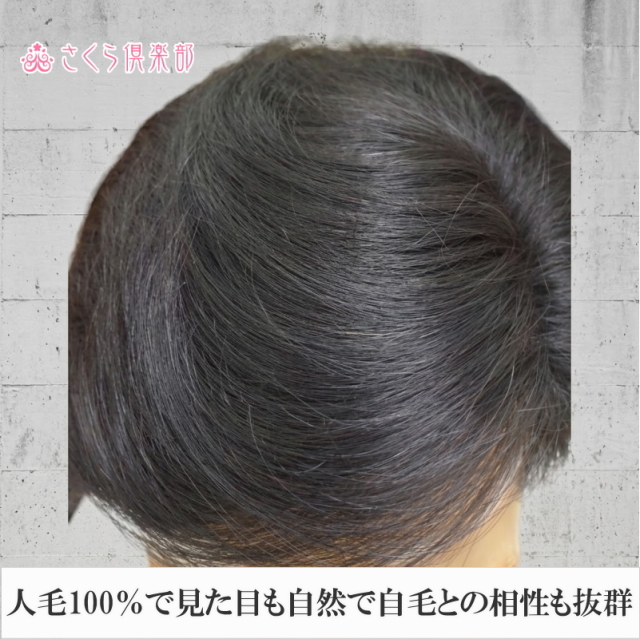 人毛100% 男性用部分ウィッグ Mサイズ（top-dx2an）｜左分けストレート