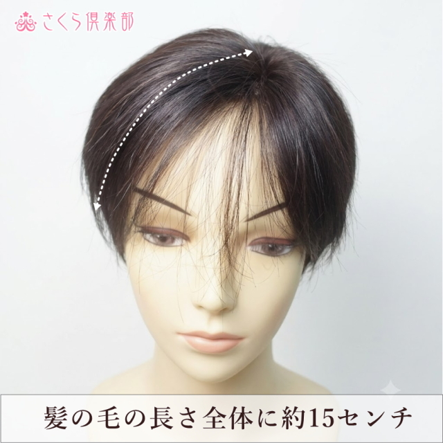 人毛100% 女性用部分ウィッグ Mサイズ（top-dx2an）｜左分けストレート
