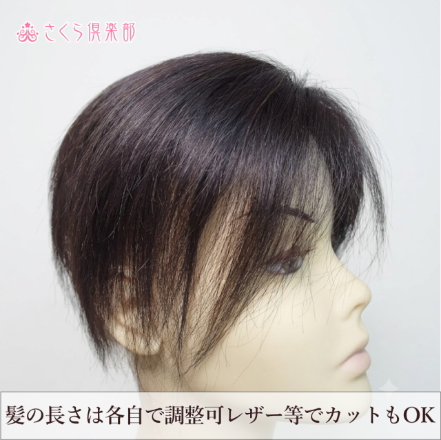 人毛100% 女性用部分ウィッグ Mサイズ（top-dx2an）｜左分けストレート
