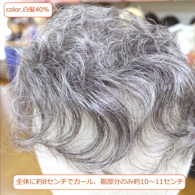 部分ウィッグ かつら ミセス向け 人工毛 ナチュラルカール 白髪入り各種 総手植え製 Sサイズ Top Sms 医療用にも最適