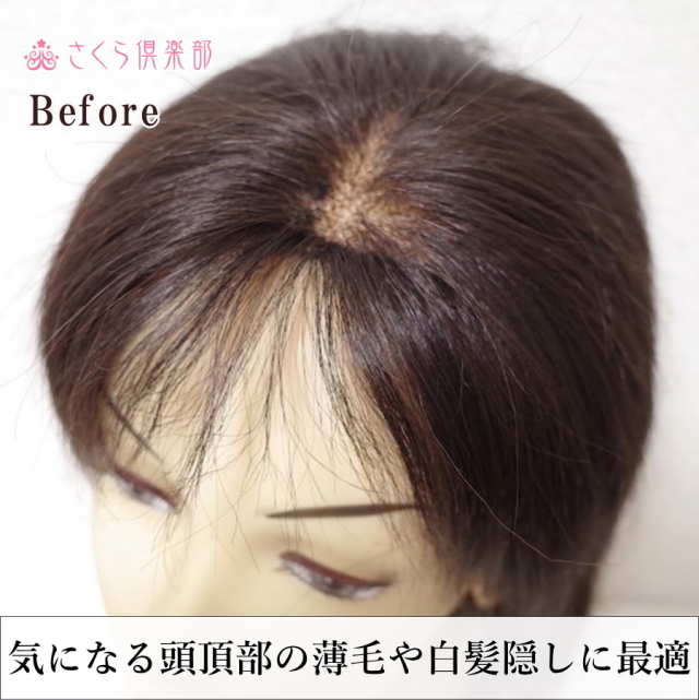 部分ウィッグ 女性用 つむじ 白髪隠し Sサイズ top-s｜人毛100総手植え