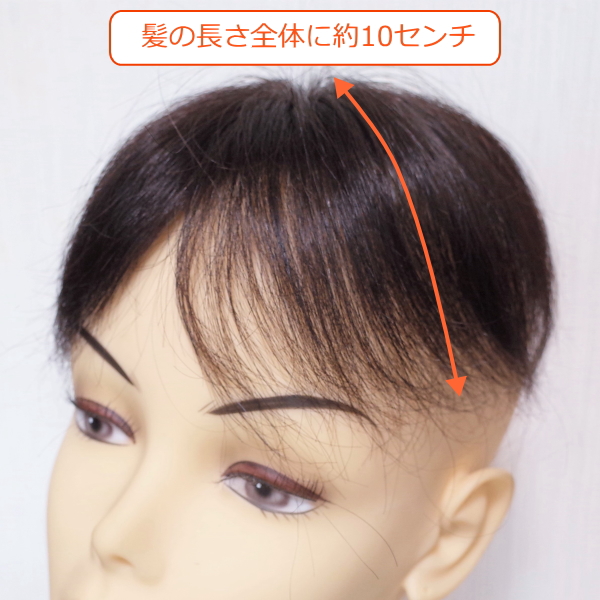 人毛部分ウィッグ 女性用ヘアピース Sサイズ ナチュラル