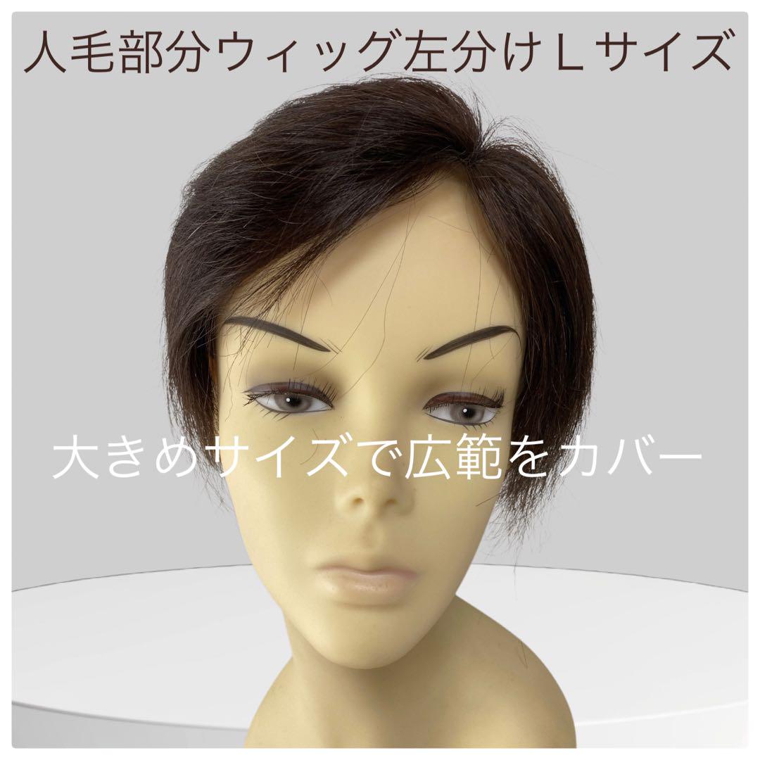 人毛部分ウィッグ女性用ヘアピース 左分け Lサイズ top-104