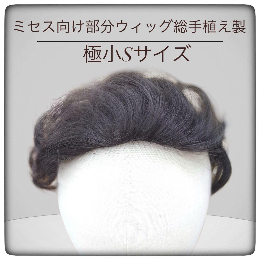 部分ウィッかつら ミセス・シニア向け・総手植え製ナチュラルストレート Sサイズ  top-100 医療用にも最適
