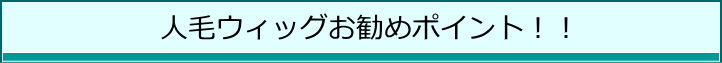 人毛ウィツグのお勧めポイント