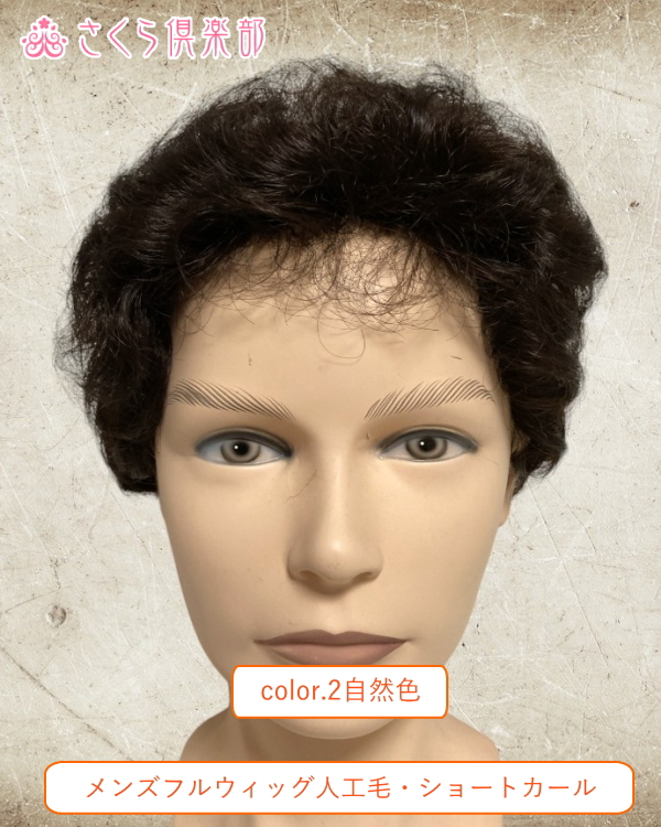 メンズフルウィッグ 男性用 全かつら  総手植え製 人工毛 hm33m 医療用にも最適
