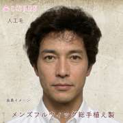 メンズフルウィッグ 男性用 全かつら  総手植え製 人工毛 hm33m 医療用にも最適