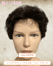メンズフルウィッグ 男性用 全かつら  総手植え製 人工毛 hm33m 医療用にも最適
