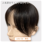 人毛　　男性全頭　ウィッグ　Mサイズ 私元気 メンズウィッグ 人毛 フルウィッグ 男性用 メンズ 白髪