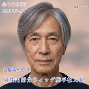 男性用メンズ部分ウィッグ人毛100%　総手植え製 左分け 白髪染め分け Lサイズ top-1000