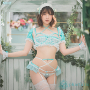 【pharfaite】LACE LIMITATION ETERNA/4点セットコスチュームランジェリー