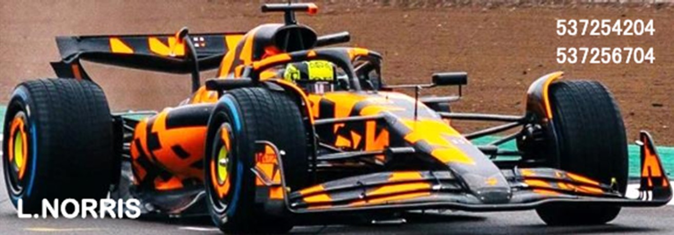 予約品　9月以降順次　ミニカー　MINICHAMPS（ミニチャンプス）レジンモデル　1/43　537256704　マクラーレン F1チーム MCL39 ランド・ノリス 2025 テストバージョン　4012138792647