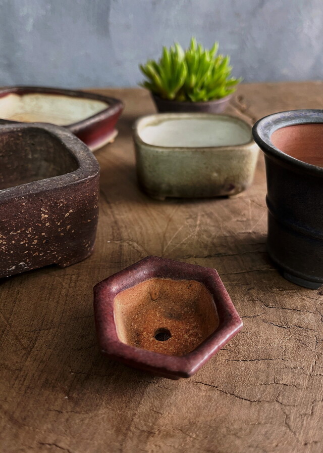 六角豆盆栽鉢 市川苔州作