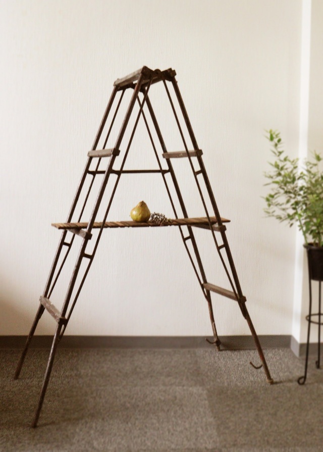 古道具 アンティーク サムズコレクション