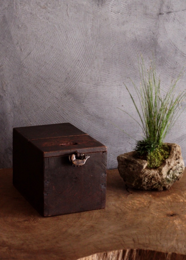 IMG_3046gfd2.jpg?t=20251103193913