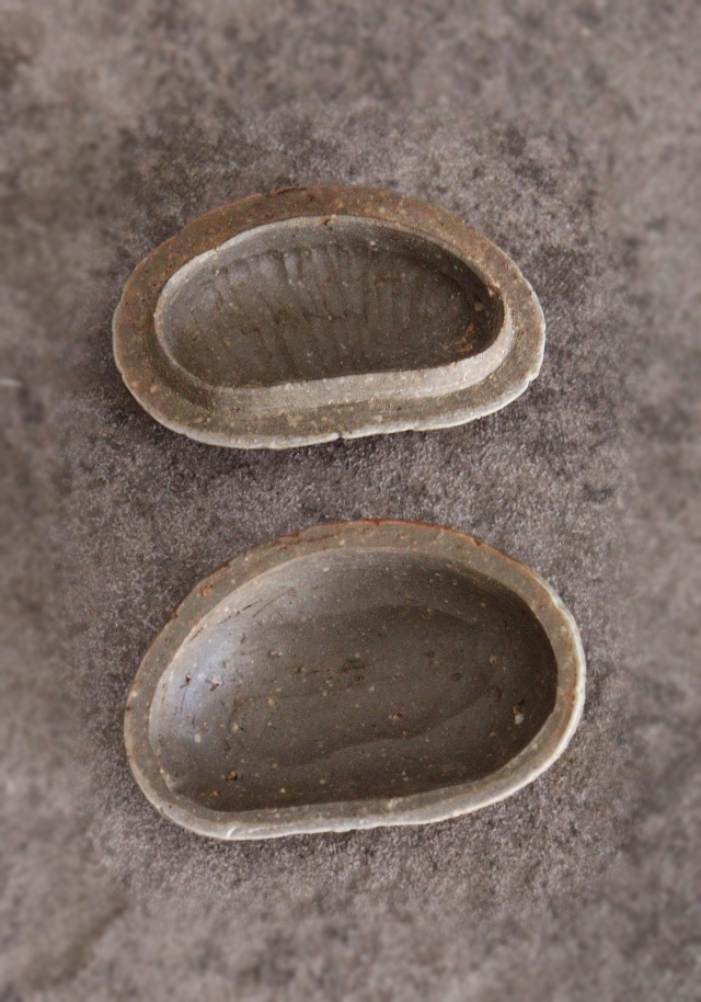 備前香合 干支 辰年 備前泰山窯 木南知加選 茶道具 香合 Antique Sam's