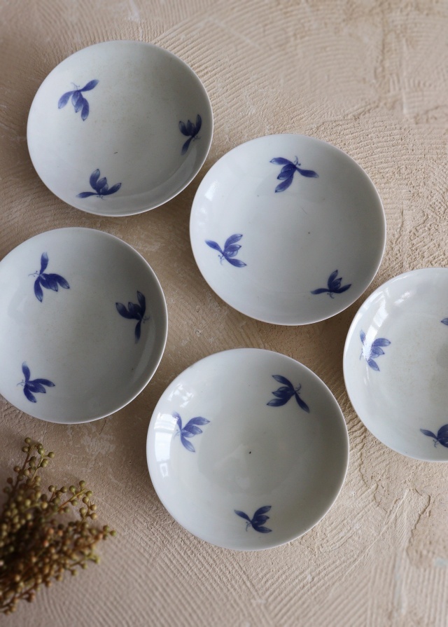 染付手書き平戸焼花図16ｃｍ皿　5枚組　　取り皿　盛皿　中皿　プレート