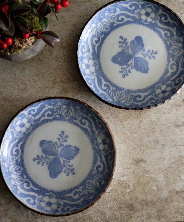 染付印判桐図16ｃｍイゲ皿　5枚組　　取り皿　盛皿　中皿　プレート　イゲ皿　アウトレット