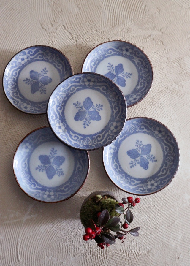 染付印判桐図16ｃｍイゲ皿　5枚組　　取り皿　盛皿　中皿　プレート　イゲ皿　アウトレット