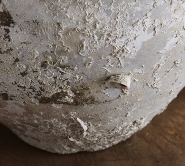 海底遺跡　海上がり壷　古陶磁　四耳壷　骨董　古美術　中国美術