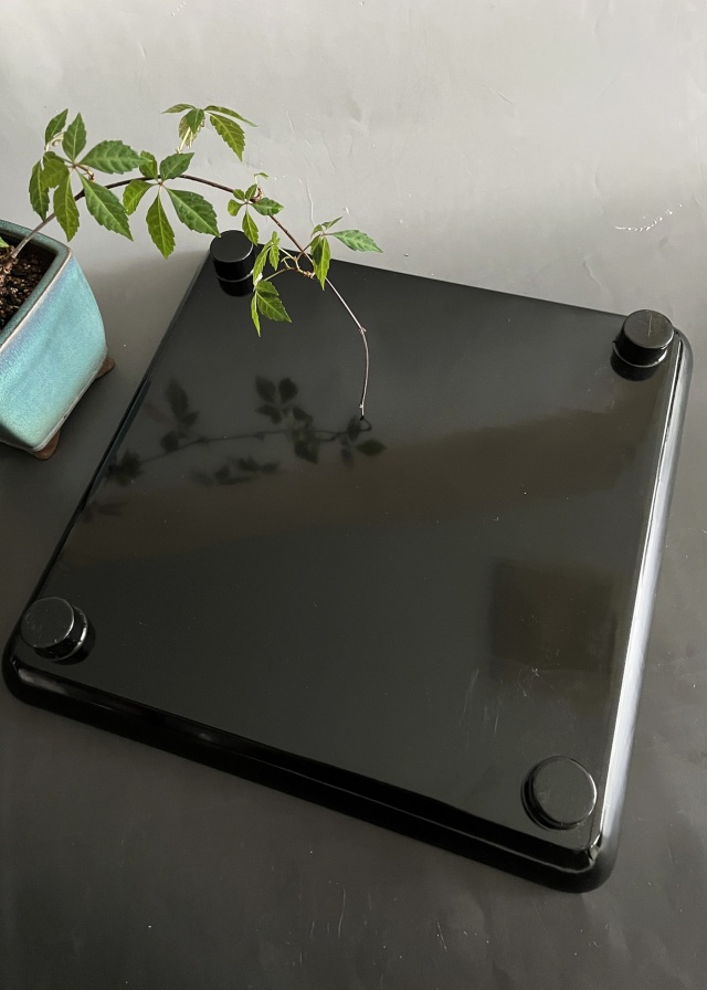 堅地　輪島塗　御膳沈金　松ぼっくり図　二枚組　