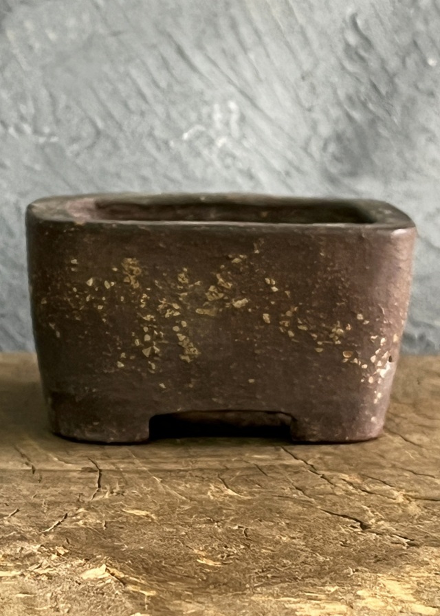 豆盆栽鉢　万古焼　春山作　小さな盆栽　盆栽鉢