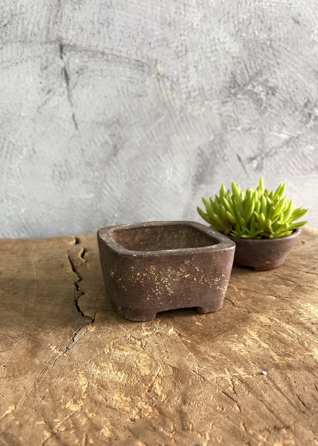 豆盆栽鉢　万古焼　春山作　小さな盆栽　盆栽鉢