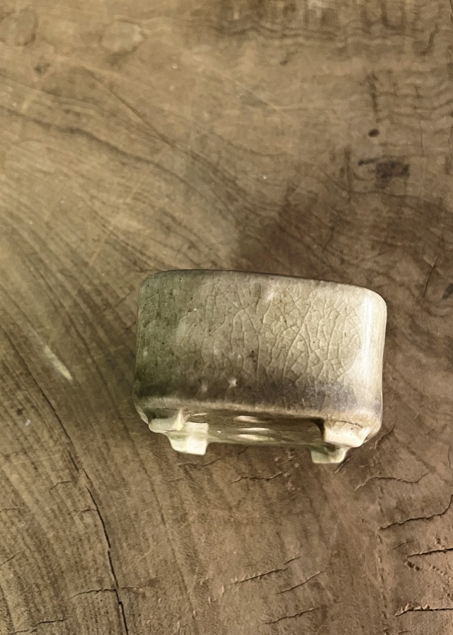 豆盆栽鉢　今岡町直作　