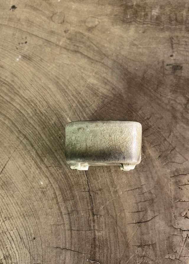 豆盆栽鉢　今岡町直作　