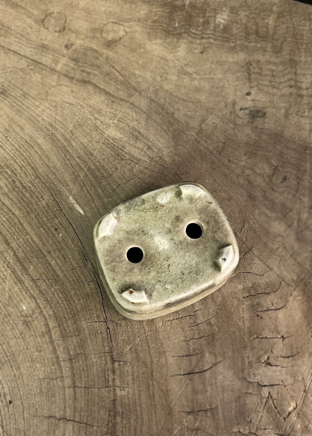 豆盆栽鉢　今岡町直作　