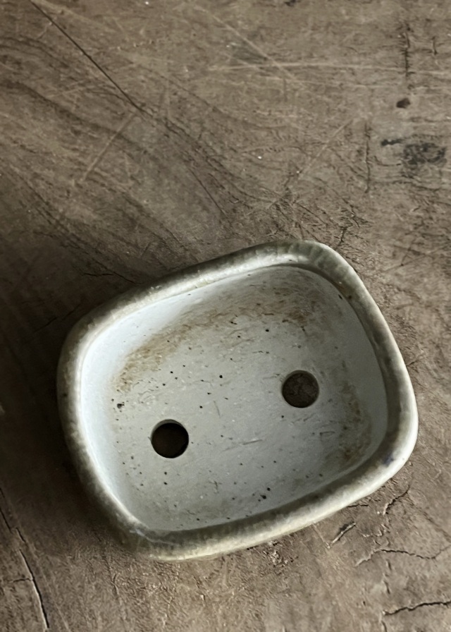 豆盆栽鉢　今岡町直作　