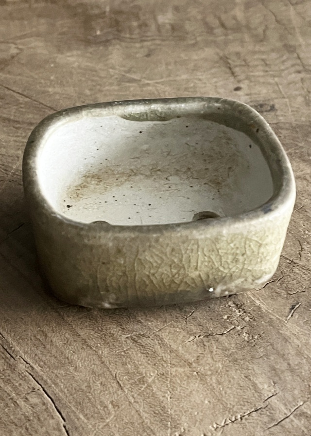 豆盆栽鉢　今岡町直作　