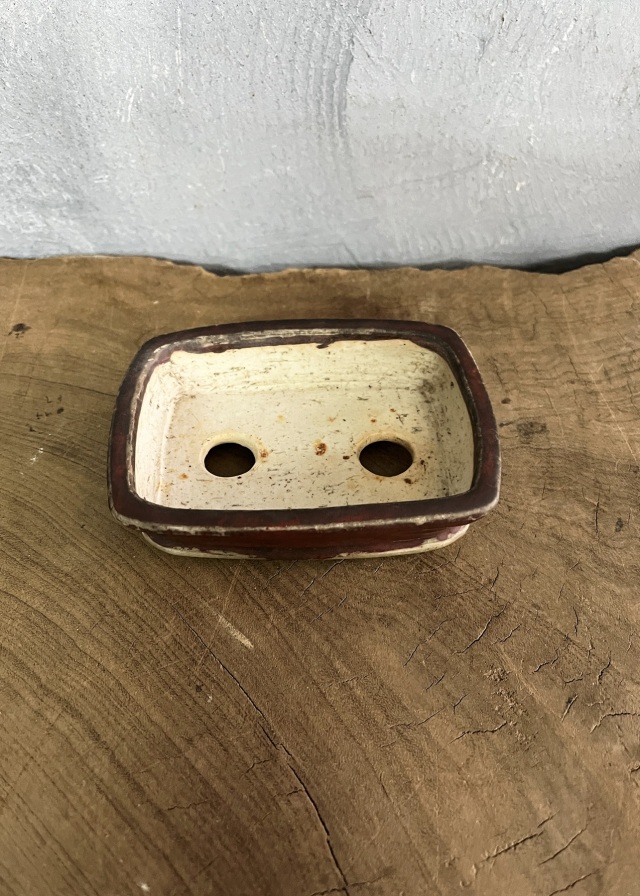 豆盆栽鉢　辰砂　今岡町直作