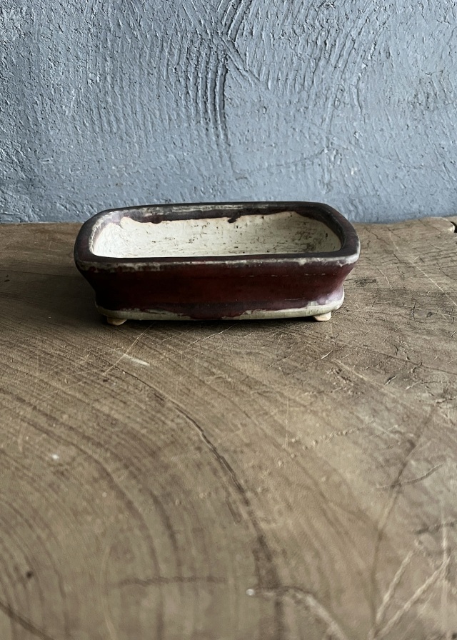 豆盆栽鉢　辰砂　今岡町直作