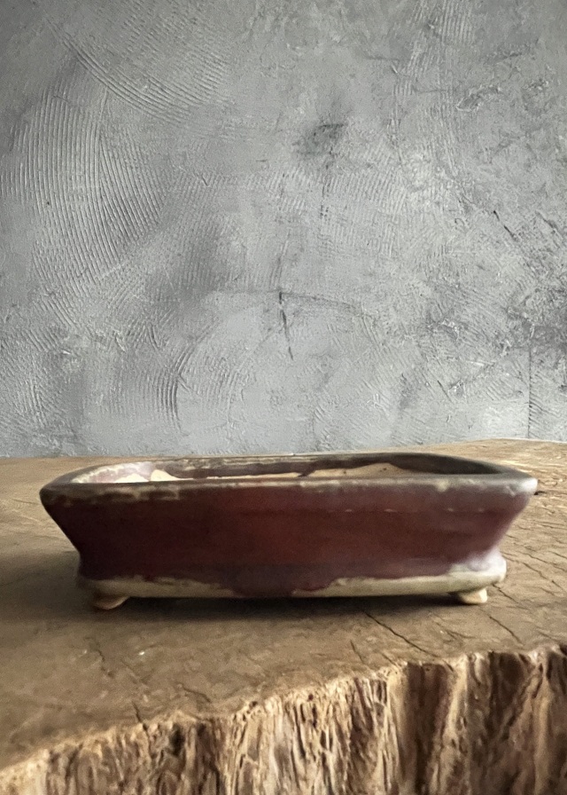 豆盆栽鉢　辰砂　今岡町直作