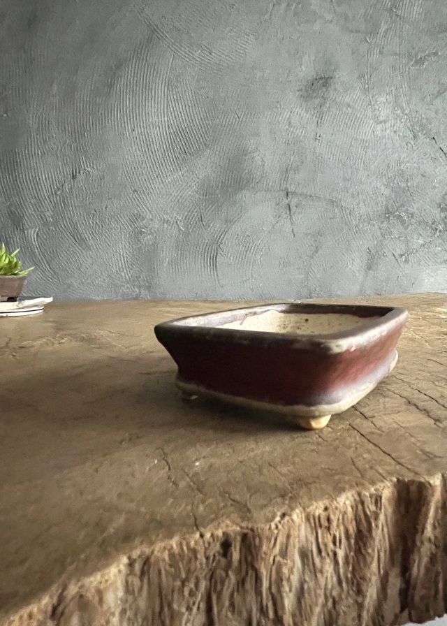 豆盆栽鉢　辰砂　今岡町直作