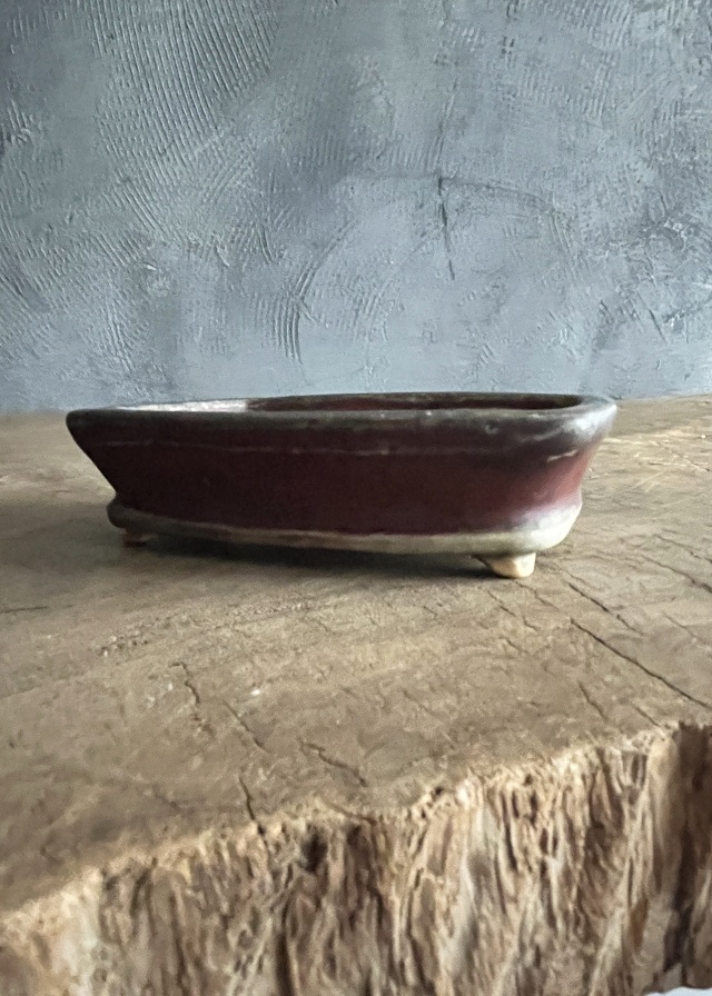 豆盆栽鉢　辰砂　今岡町直作