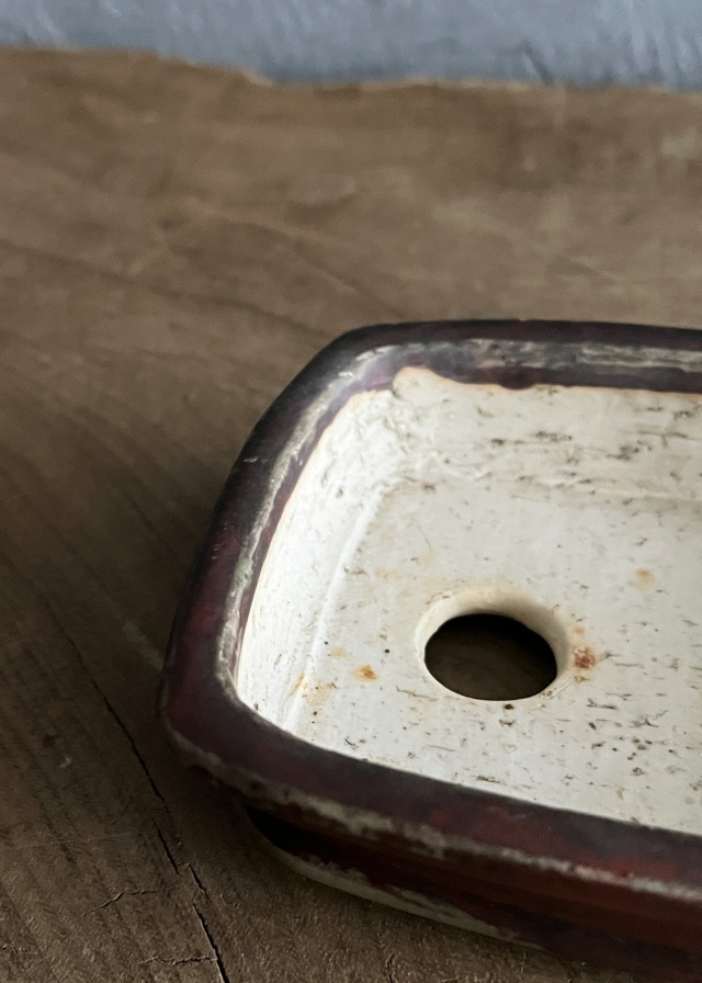 豆盆栽鉢　辰砂　今岡町直作