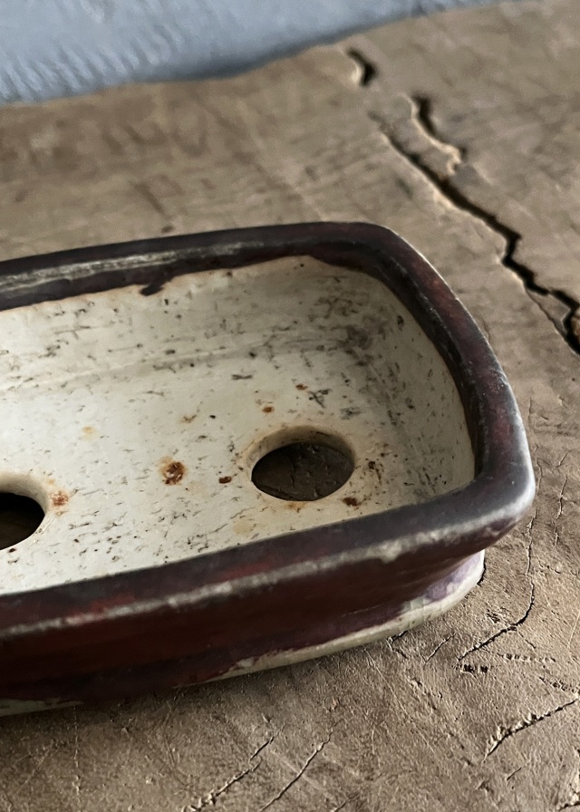 豆盆栽鉢　辰砂　今岡町直作