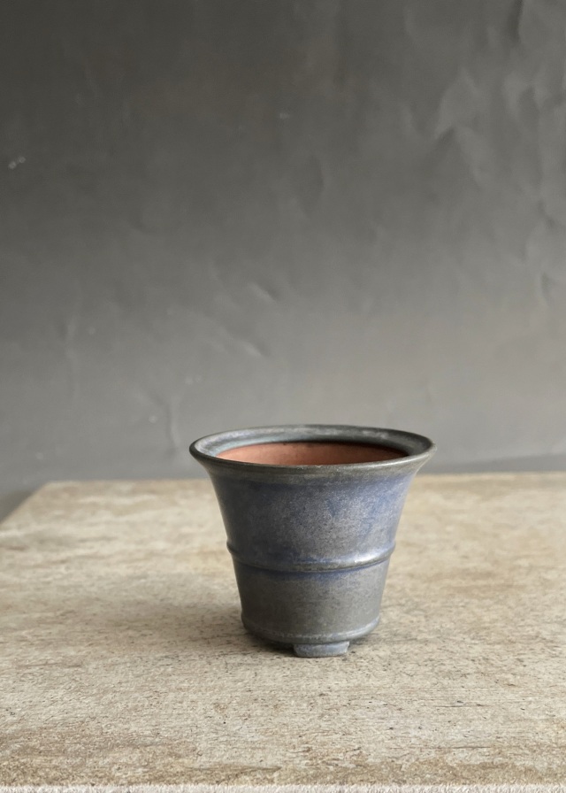 豆盆栽鉢瑠璃色 万古焼 春山作
