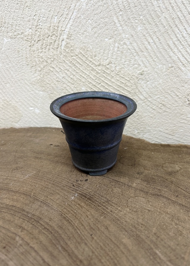 豆盆栽鉢瑠璃色　　平安香山作