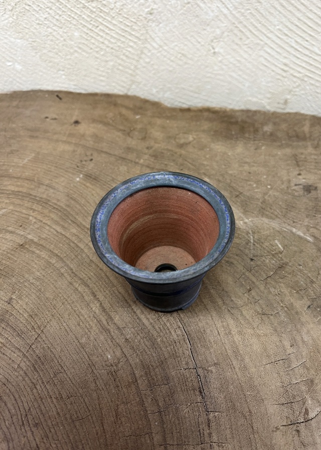 豆盆栽鉢瑠璃色　　平安香山作