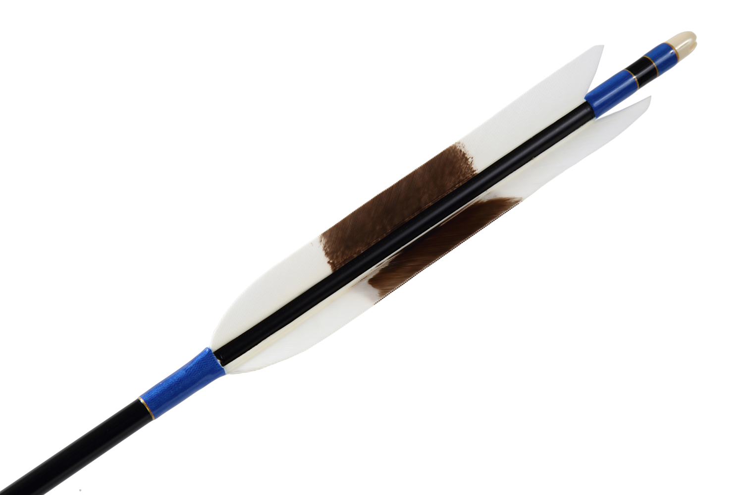 ターキー手描 中黒 2015シャフト 6本組 白羽  矢 弓道 【D-1639】