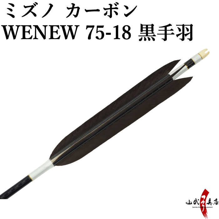 ミズノWENEW